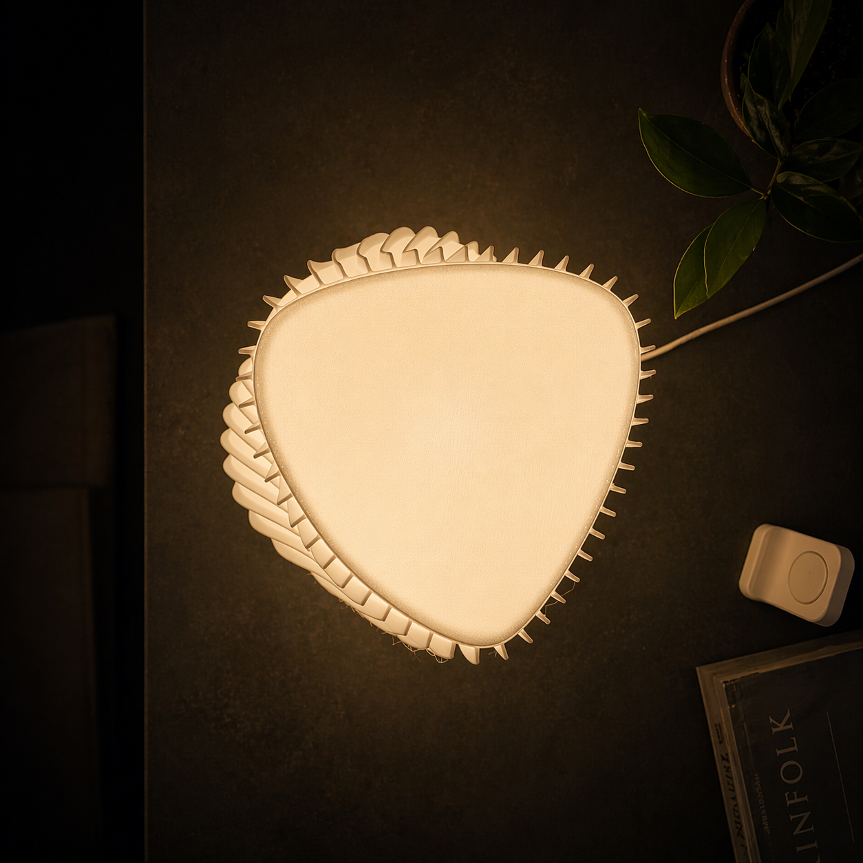 Lumera photo 3